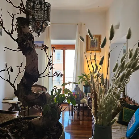 Bed & Breakfast Obelisco Rhome *